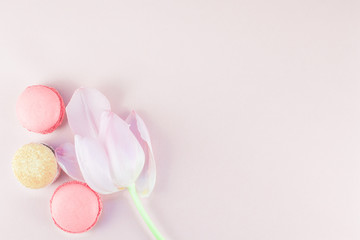 Flat lay of macaroons and Pink tulip with petals