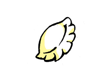 春節の主役、餃子　gyoza,　Chinese food