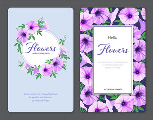 Beautiful morning glory flowers and leaf on blue background template. Vector set of blooming floral for wedding invitations and greeting card design.