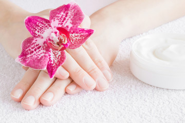 Beautiful groomed woman's hands with cream jar and fresh purple orchid flower on the white towel....