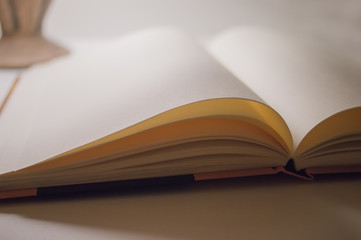 Planning future concept. Notebook with blank pages under a lamp.