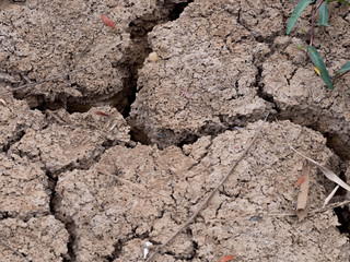 The Dry soil