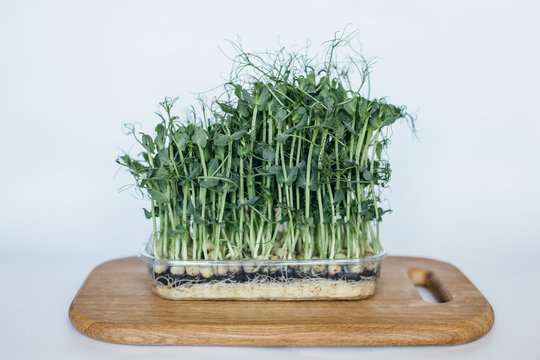 microgrin of green peas is on a wooden board on a white background