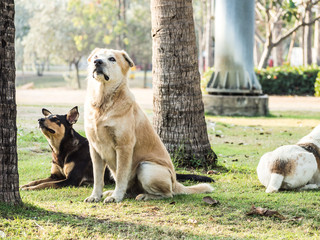 What are you waiting for.