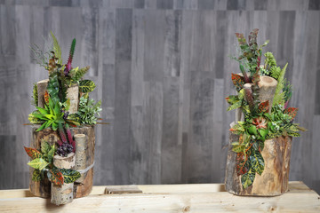 Floral arrangement of multicolored flowers, leaves and berries in wooden stump.