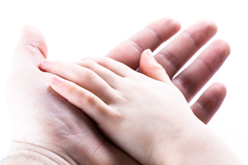 Child hand holding a man hand isolated in white background