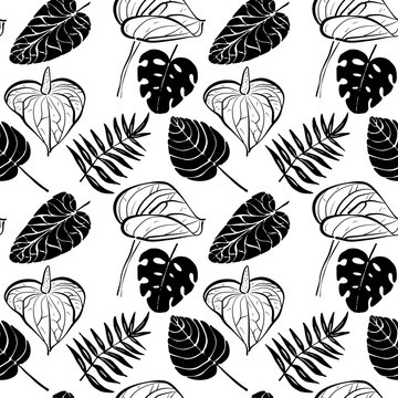 Seamless pattern with flowers of Calla Lily and tropical leaves in black and white colors