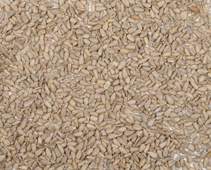 Salted sunflower seeds background and texture