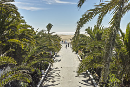 The Way to The Dunes Maspalomas Gran Canaria