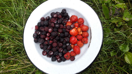 Strawberries