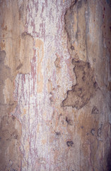Old plaster wall
