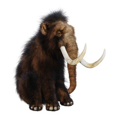 Fototapeta premium 3D Rendering Woolly Mammoth on White