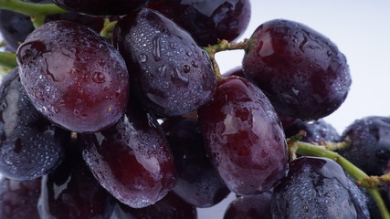 Closeup of Grapes on a white background. Selective focus and crop fragment.