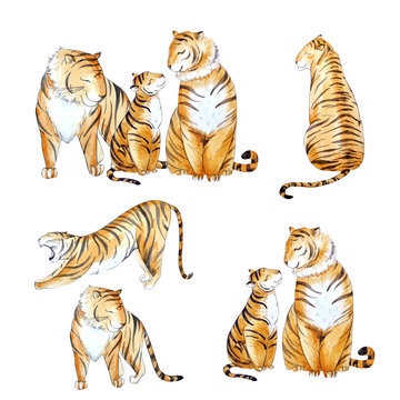 Watercolor tiger set
