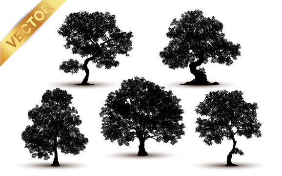 Collection tree silhouette isolated on white background.