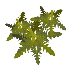 Trees top view for landscape vector illustration.