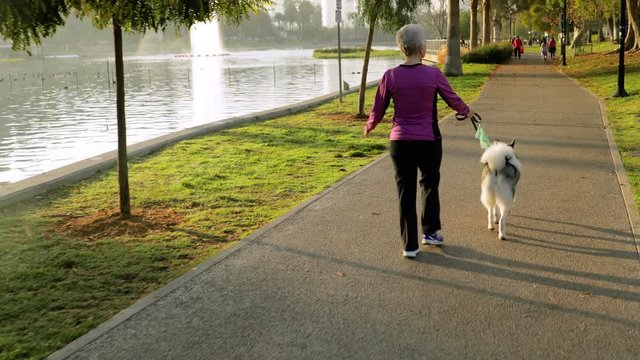 71 Year Old Woman Walking Her Dog In The Park.
