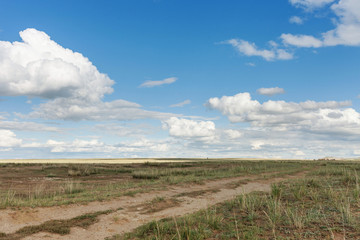 Fototapeta na wymiar The road goes to the horizon. Clouds float across the sky over meadows. Tyva. Steppe. Sunny summer day. Outdoors