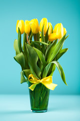 Yellow tulips on blue background