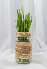 a stalk of green grass in a glass jar hand-decorated with scoop and craft on a white background