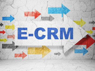 Finance concept:  arrow with E-CRM on grunge textured concrete wall background, 3D rendering