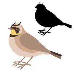 horned lark bird vector illustration flat style  silhouette