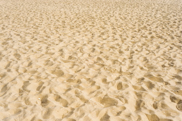 Fototapeta na wymiar sand background or texture closeup