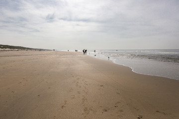 People wandering near the shore on a sandy beach at sunset