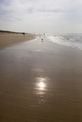 People wandering near the shore on a sandy beach at sunset