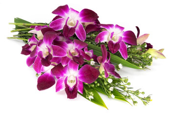 Orchideen von Thailand