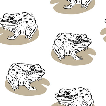 Vector seamless background with hand drawn sketched frogs
