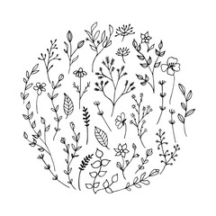 Hand drawn romantic flowers. Mono line vector floral collection.