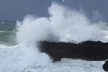 岩場に打ち付ける荒波　Raging waves to rocks