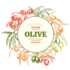 Olive branches, hand drawn vector illustrations.