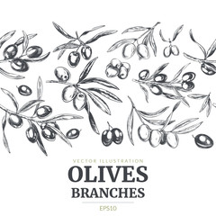 Olive branches, hand drawn retro style vector illustrations.