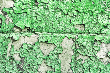 Old shabby wall texture with cracked peeling green paint