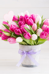 Pink tulip on the white background. Easter background