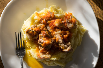 Meat and mashed potatoes on the plate.