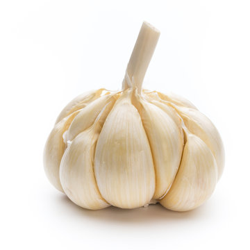 Garlic isolated on the white background.