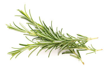 Rosemary spice on the white background.