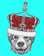 Portrait of Pembroke Welsh Corgi with crown, hand-drawn illustration