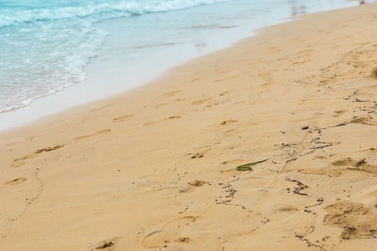 Quiet, Calm Sea And Yellow Sand, Beach. Copy Space For Text	