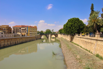 Fototapeta premium Paseo del río Segura en Murcia, España