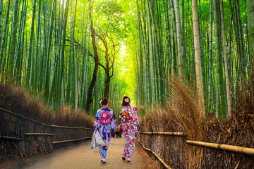 Naklejka premium Bambusowy las Arashiyama niedaleko Kioto w Japonii