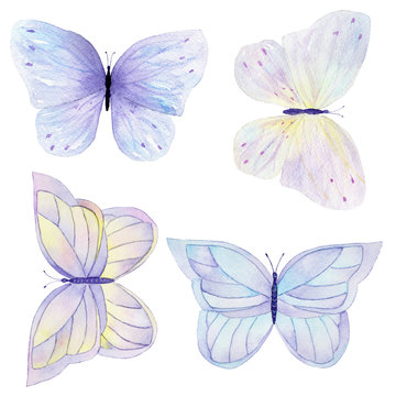 Watercolor butterfly set hand drawn painting. Can be used for cards,wedding invitations,logo,printing on fabric.