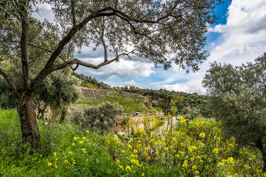 Nysa Ancient City, Nazilli, Izmir, Turkey