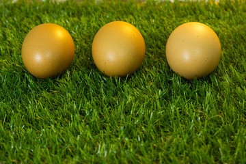Eggs are placed on artificial grass.