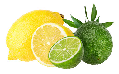 Fresh lemons and lime isolated on white background with clipping path