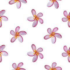 Fototapeta na wymiar Colorful Plumeria flowers. Seamless vector background.