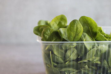 Fresh green spinach in plastic container on gray background.